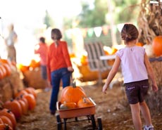 Embrace the joys of autumn in this PTA fundraising idea!