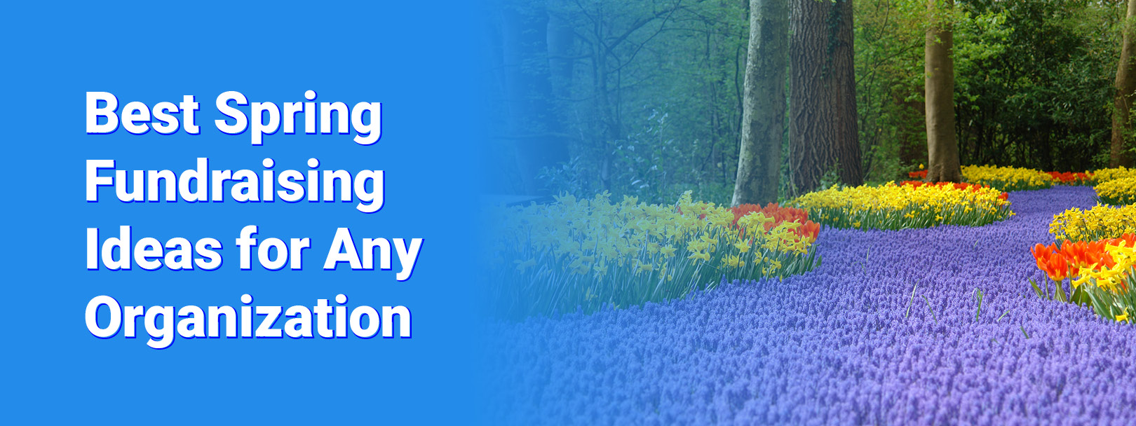 The title of the article, “Best Spring Fundraising Ideas for Any Organization.”